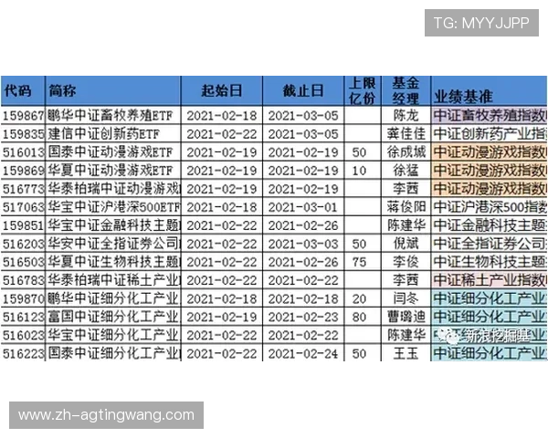 专业人士解读百家乐网站排名标准助你轻松找到最值得信赖的游戏平台 专业人士解读百家乐网站排名标准助你轻松找到最值得信赖的游戏平台